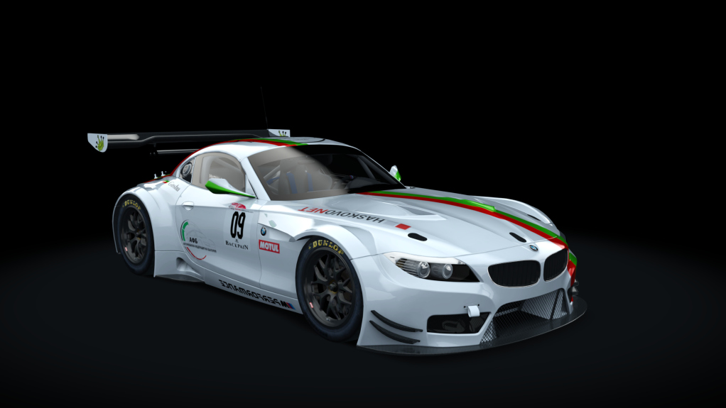 BMW Z4 GT3, skin BFAS