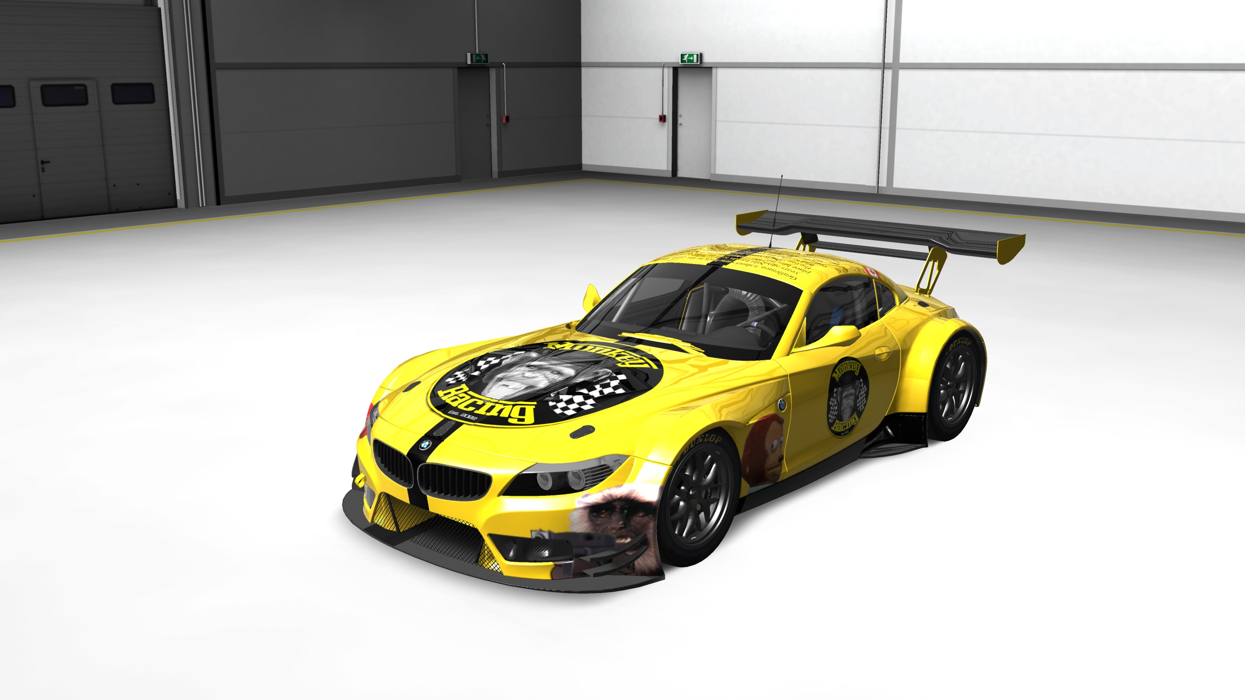 BMW Z4 GT3, skin MonkeyRacing