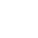 Audi RS3 LMS 2024 Badge